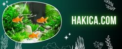 hakica.com